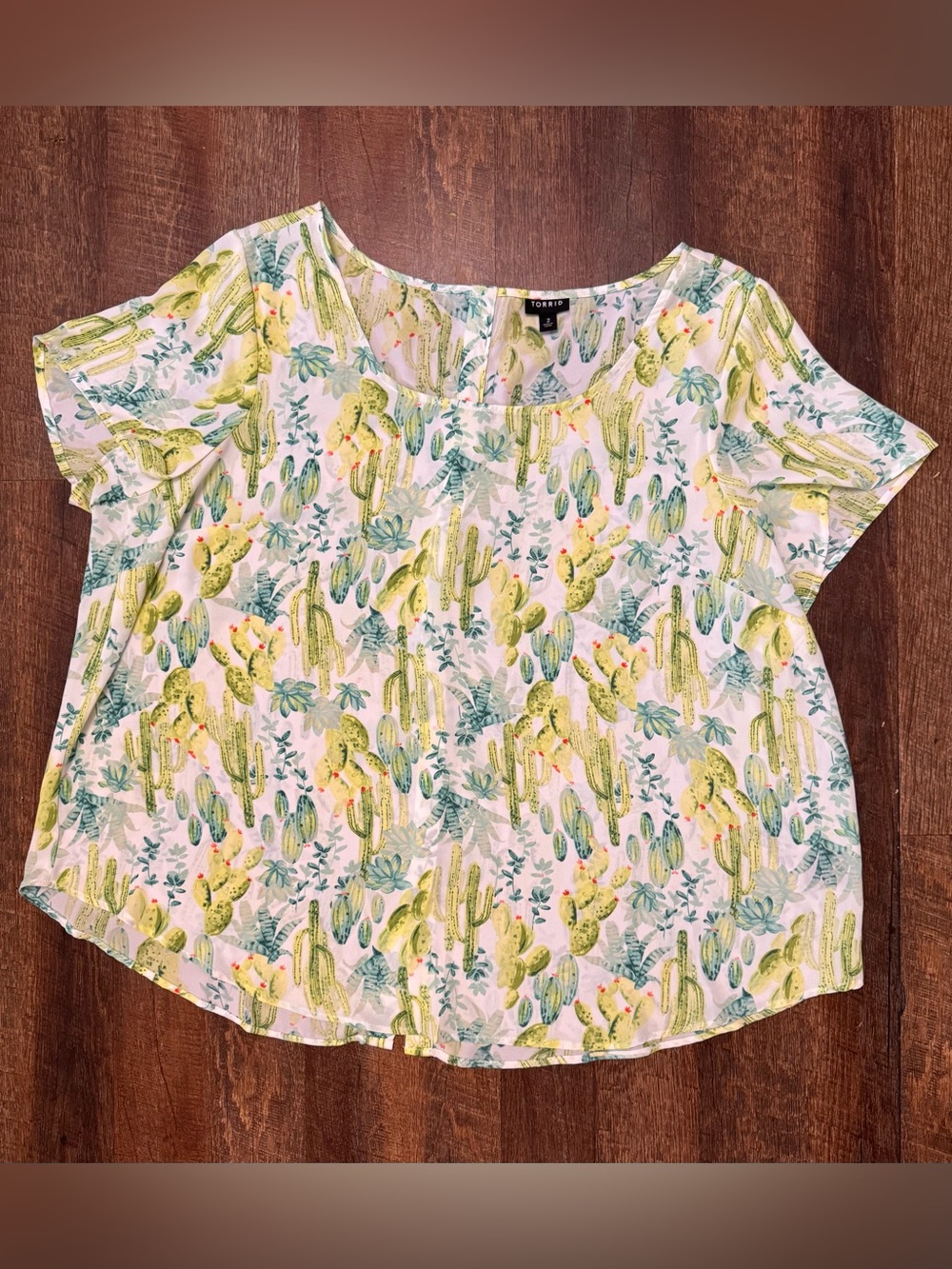 Torrid Size 2 (2X 18/20) Cactus Print Chiffon Blouse Desert Southwest Top